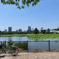 Ueno Culture Walk