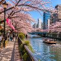 Nakameguro Riverside Walk