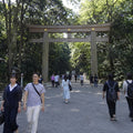 Tokyo Full Day Luxury Private Tour - from Tokyo with English-Speaking Driver