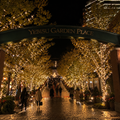 Ebisu Evening Walk