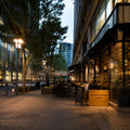 Imperial Palace and Marunouchi Walk