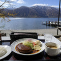 Nikko Full Day Luxury Private Tour - from Tokyo with English-Speaking Driver