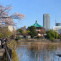 Ueno Culture Walk