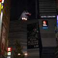Shinjuku Night Walk