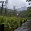 Nikko Full Day Luxury Private Tour - from Tokyo with English-Speaking Driver