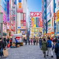Tokyo Full Day Luxury Private Tour - from Tokyo with English-Speaking Driver