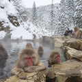Nagano Full Day Luxury Private Tour - from Tokyo with English-Speaking Driver