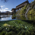 Mt Fuji Full Day Luxury Private Tour - from Tokyo with English-Speaking Driver