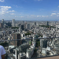 Harajuku and Omotesando Walk