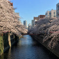 Nakameguro Riverside Walk