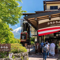 Mt Fuji Full Day Luxury Private Tour - from Tokyo with English-Speaking Driver