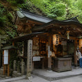 Kamakura Full Day Luxury Private Tour - from Tokyo with English-Speaking Driver