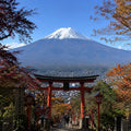 Mt Fuji Full Day Luxury Private Tour - from Tokyo with English-Speaking Driver
