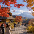 Mt Fuji Full Day Luxury Private Tour - from Tokyo with English-Speaking Driver