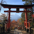 Mt Fuji Full Day Luxury Private Tour - from Tokyo with English-Speaking Driver