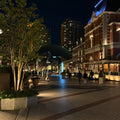 Ebisu Evening Walk