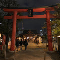 Shinjuku Night Walk