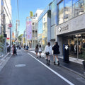 Harajuku and Omotesando Walk
