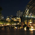 Ebisu Evening Walk