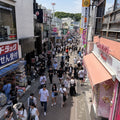 Tokyo Full Day Luxury Private Tour - from Tokyo with English-Speaking Driver