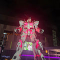 Odaiba Night Bay Walk