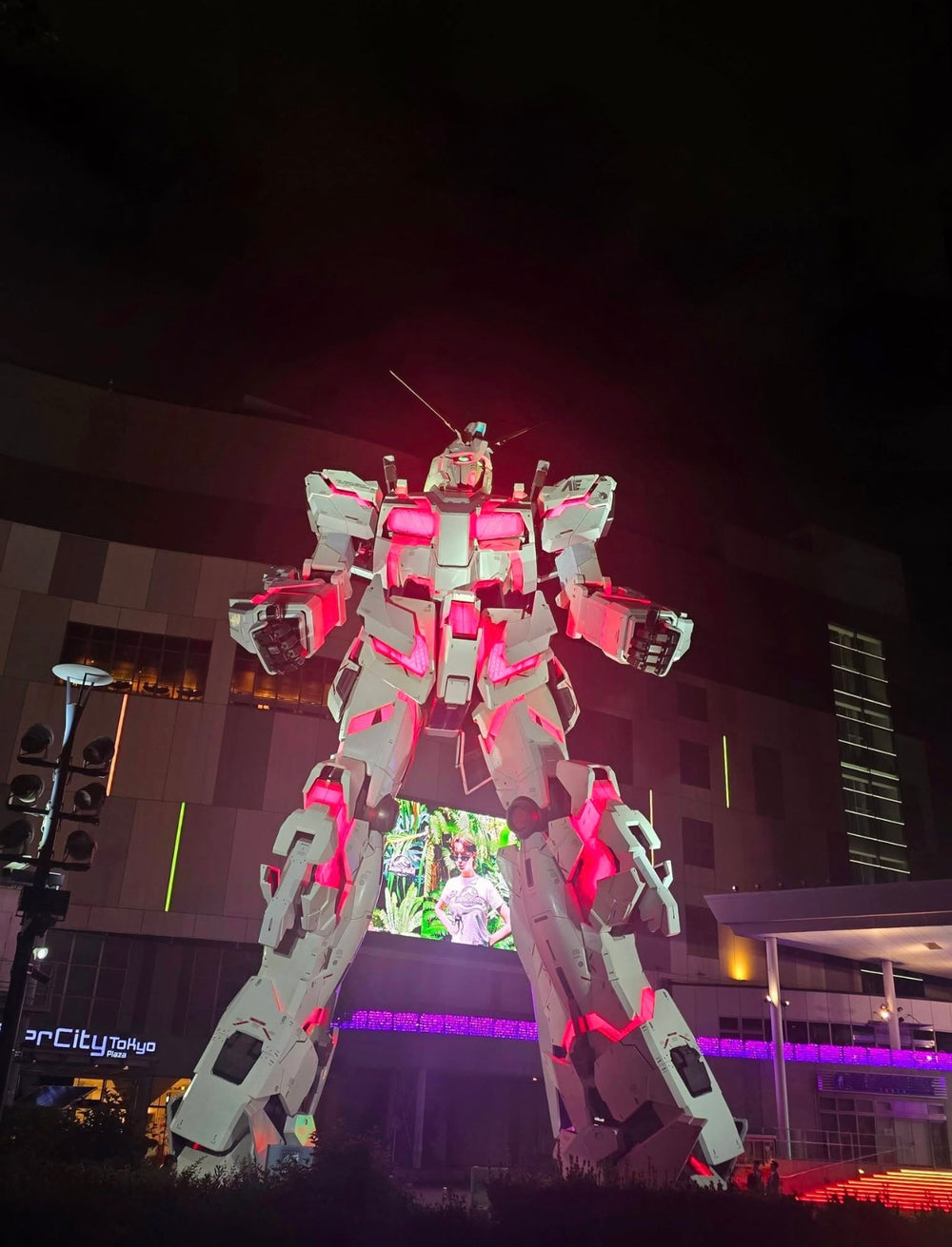 Odaiba Night Bay Walk