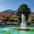 Hakone Full Day Luxury Private Tour - from Tokyo with English-Speaking Driver