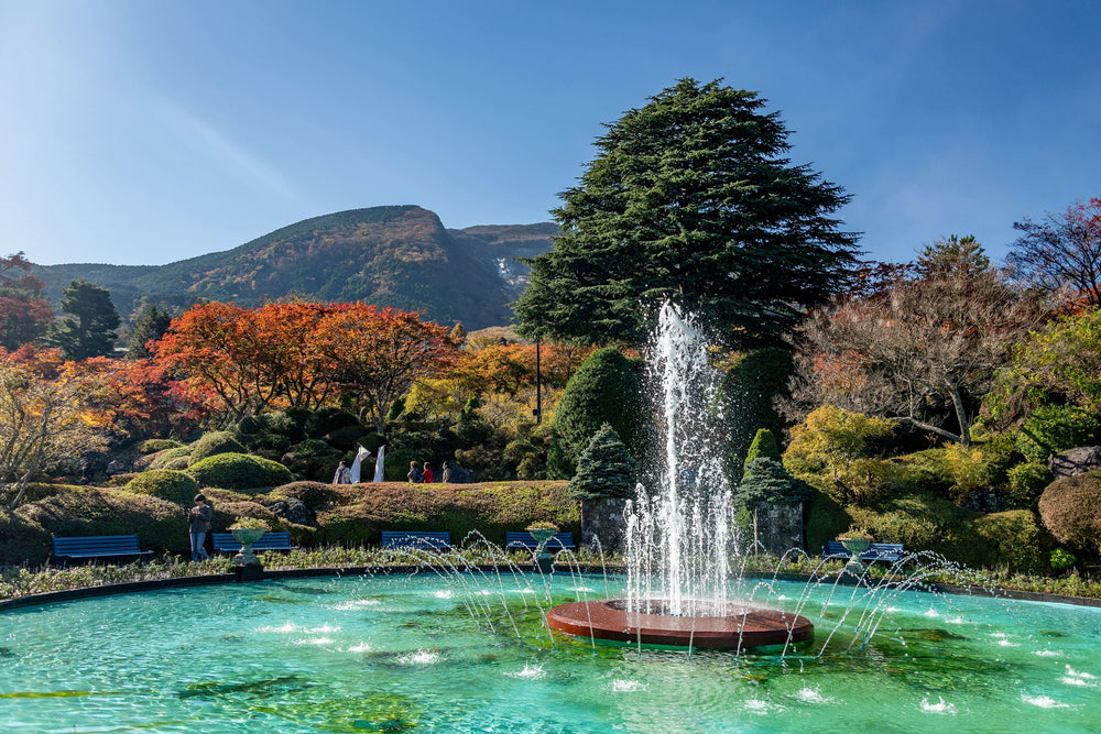 Hakone Full Day Luxury Private Tour - from Tokyo with English-Speaking Driver