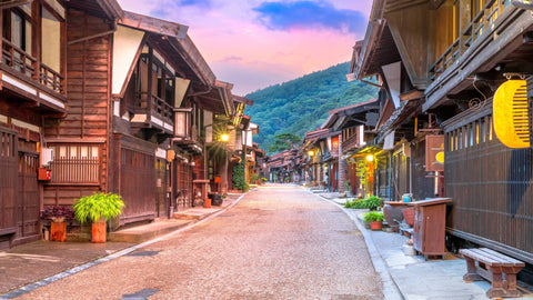 Nagano Full Day Luxury Private Tour - from Tokyo with English-Speaking Driver