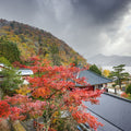 Nikko Full Day Luxury Private Tour - from Tokyo with English-Speaking Driver