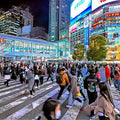Shinjuku Night Walk