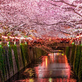 Nakameguro Riverside Walk