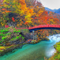Nikko Full Day Luxury Private Tour - from Tokyo with English-Speaking Driver