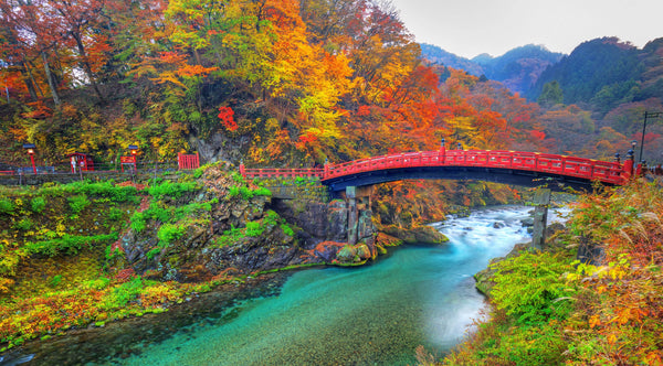 Nikko Full Day Luxury Private Tour - from Tokyo with English-Speaking Driver