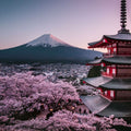 Mt Fuji Full Day Luxury Private Tour - from Tokyo with English-Speaking Driver