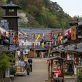 Nikko Full Day Luxury Private Tour - from Tokyo with English-Speaking Driver