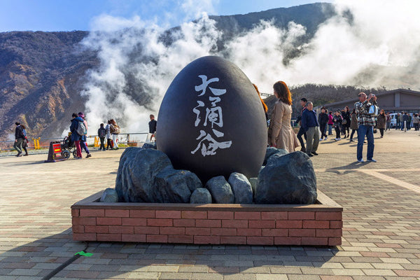 Hakone Full Day Luxury Private Tour - from Tokyo with English-Speaking Driver